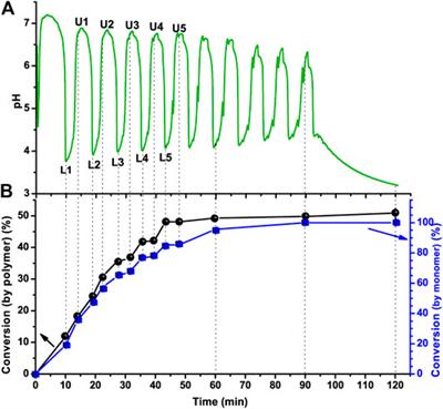 Periodic Polymerization and the Generation of Polymer Giant Vesicles Autonomously Driven by pH Oscillatory Chemistry